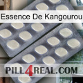 Kangaroo Essence 07